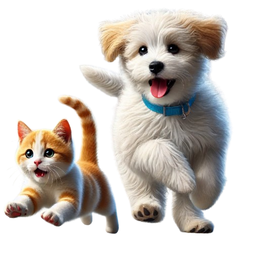 cute pets