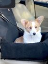 Car Kennel Pet Travel Car Seat Small - Image 4
