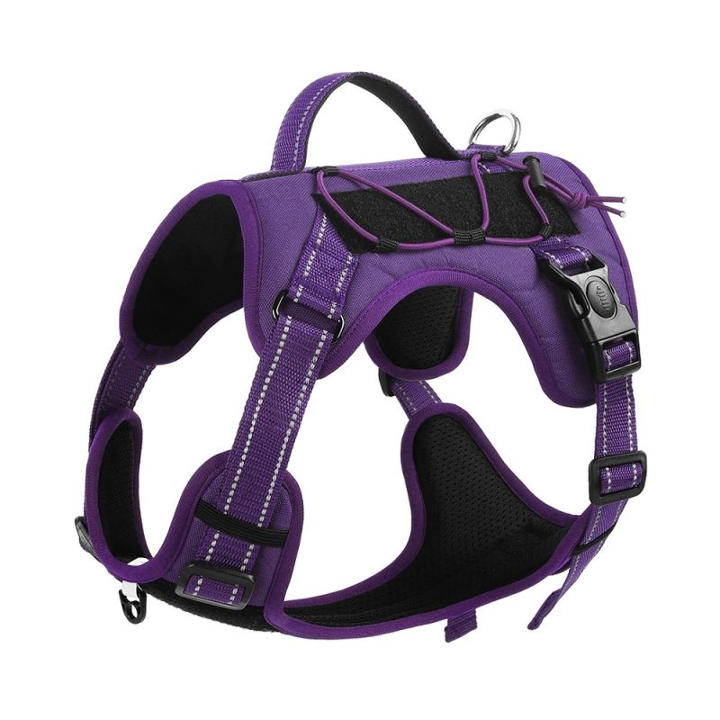 Pet Hand Holding Rope Anti Breaking Loose Dog Harness - Image 5