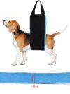 New Pet Products Dog Auxiliary Belt Pet Power - Image 5
