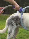 One-key Foldable Cleaning Hose For Pet Bathing - Image 3