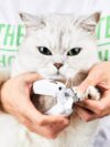 Professional Pet Nail Clipper Scissors Pet - Image 9