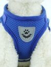 Dog Harness And Leash Set - Image 6