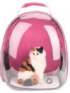 Cat Bag Full Transparent Pet Space Bag - Image 3