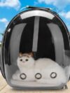 Cat Bag Full Transparent Pet Space Bag - Image 5