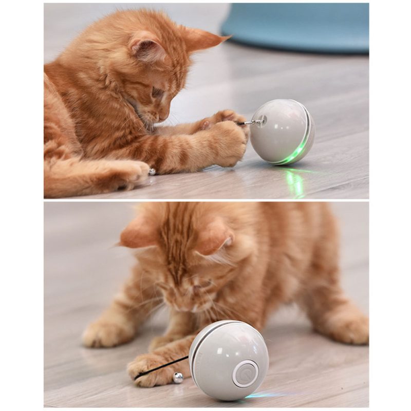 Colorful LED Laser Funny Cat Ball - Image 7
