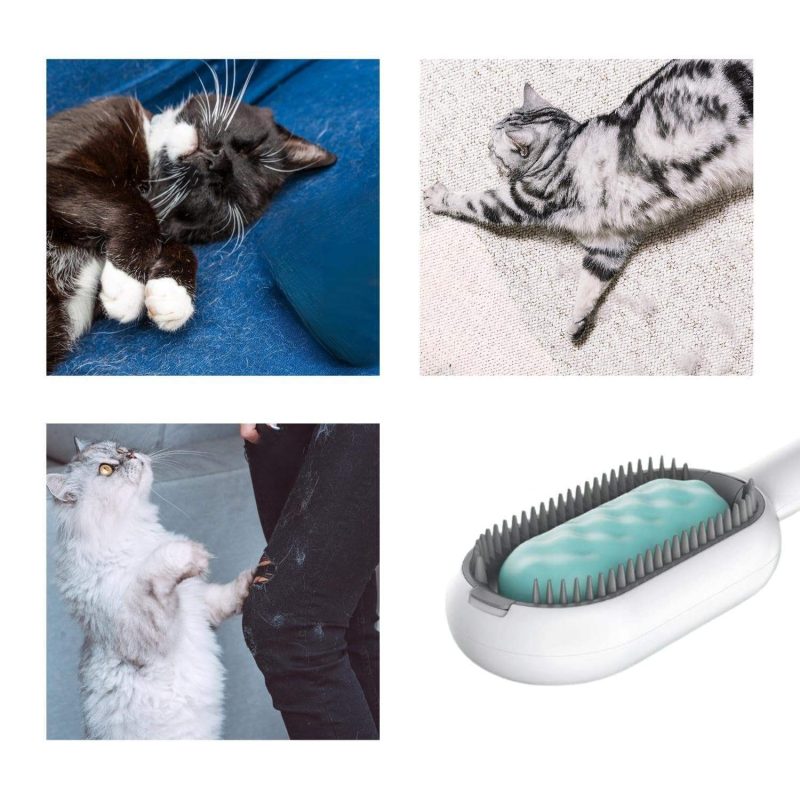 Cat Hair Brush With Water - Image 2
