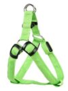 Pet Products LED Luminous Dog Chest Strap Large Dog Luminous Dog Leash - Image 10