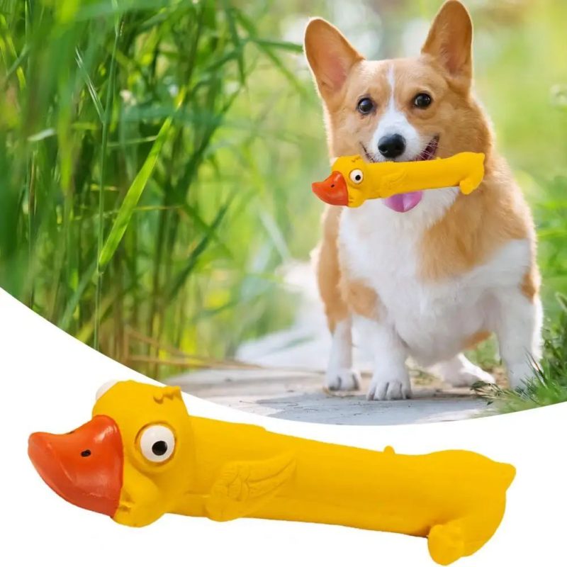 Teeth Grinding Latex Dog Toy