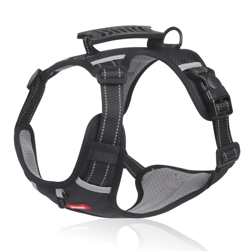 Pet Hand Holding Rope Vest-style Explosion-proof Reflective - Image 2
