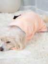Quick-drying Pet Absorbent Towel Dog - Image 4