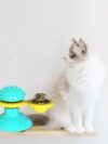 Cat Rotating Windmill Multi-Function Toys - Image 8
