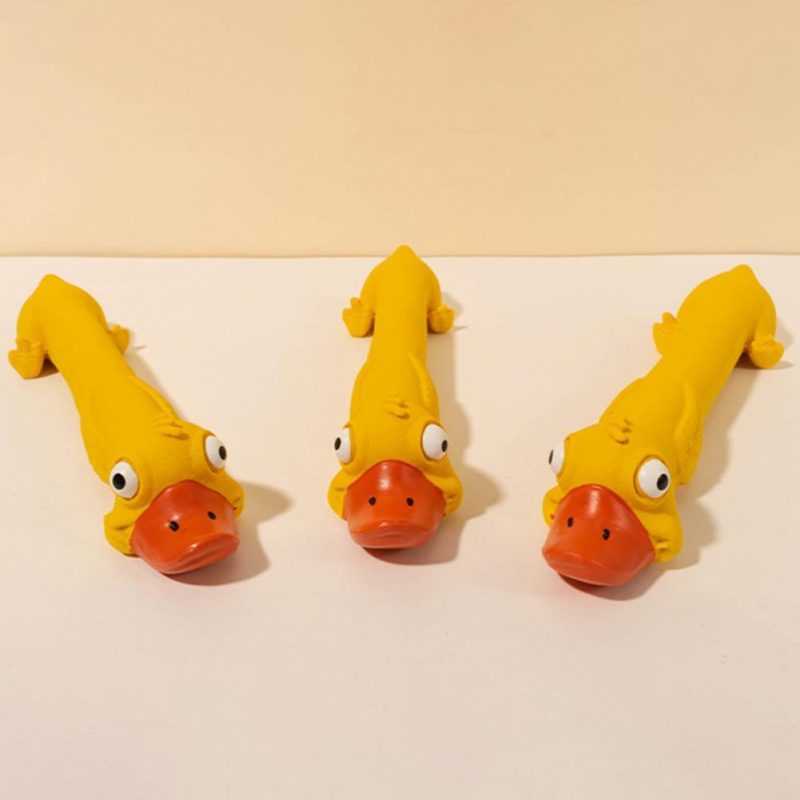 Teeth Grinding Latex Dog Toy - Image 10