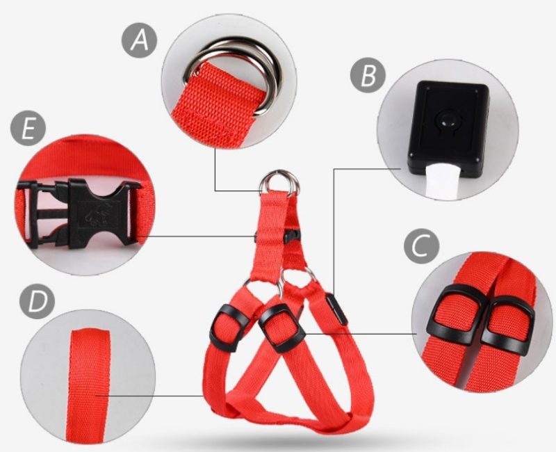 Pet Products LED Luminous Dog Chest Strap Large Dog Luminous Dog Leash - Image 9