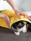 Pet Plus-sized Size Shower Bath Towel - Image 9
