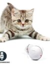 LED Laser Electronic Rolling Pet Funny Cat Toy Ball - Image 8
