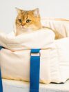 Portable Cat Bag To Carry Pets Out - Image 6