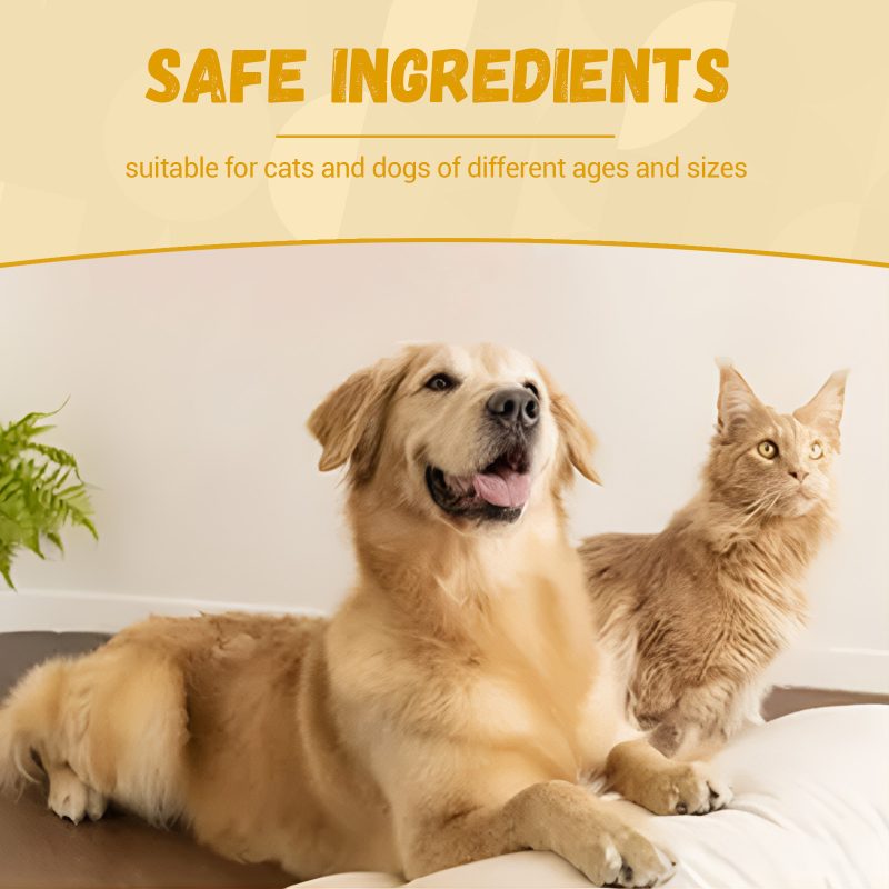 Pet Nutritional Supplements Enhance Energy Vitality - Image 3