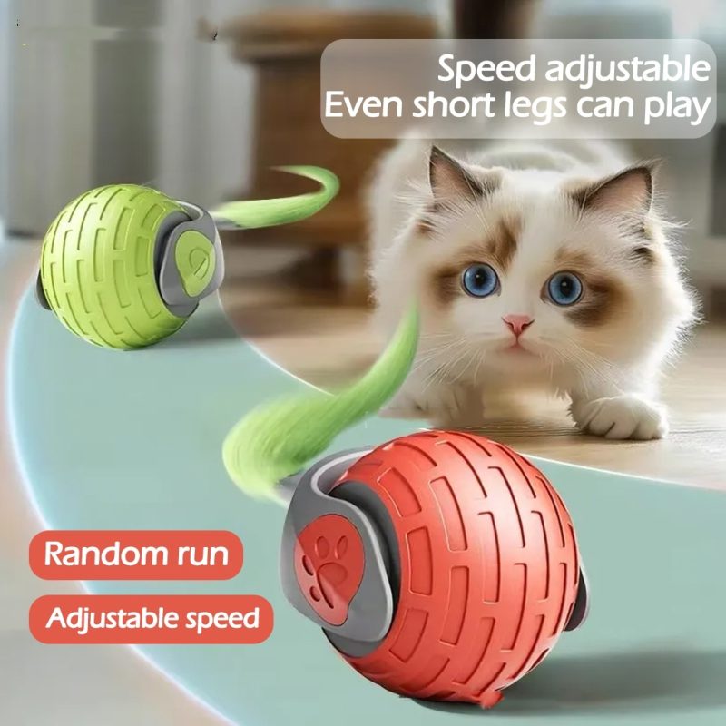 New Interactive Cat Toys Ball