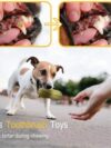 Funny Pet Dog Squeaky Toys - Image 5