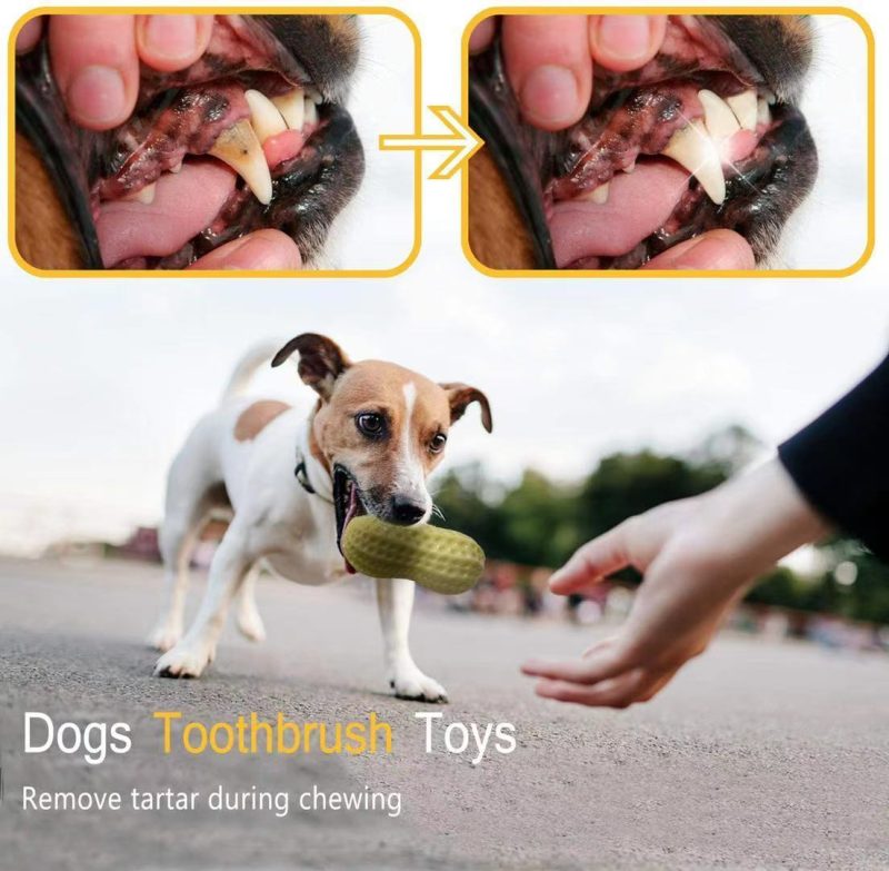 Funny Pet Dog Squeaky Toys - Image 5