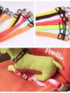 Fixed Strap Polyester Dog Strap Dog Leash Dog Leash - Image 2