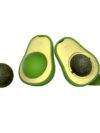 Avocado Cat Mint Multifunctional Catnip - Image 10