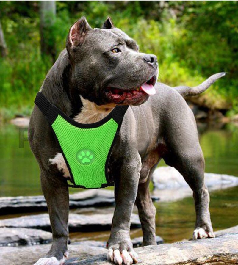 Dog supplies Breathable mesh chest straps Pet car safety chest back - Image 9