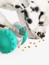 Cat And Dog Toys Slow Food Interactive Balance Car - Image 9
