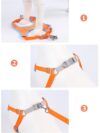 Dog Harness Cat Harness Reflective Dogs Leashs Soft Mesh Chest Strap - Image 9