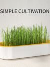 Hydroponic Cat Grass Box Plastic - Image 4