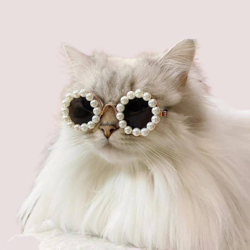 Cat And Dog Pearl Sunglasses - Pet Extravagant Funny Cute Dress Up Costume Accessories For Party - Image 4