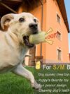 Funny Pet Dog Squeaky Toys - Image 4