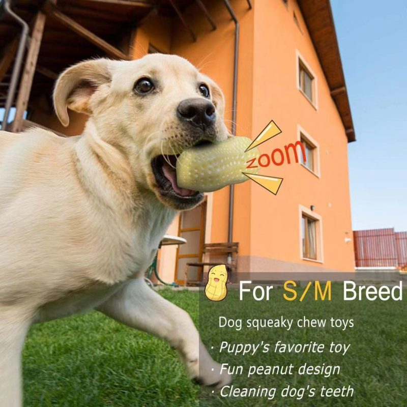 Funny Pet Dog Squeaky Toys - Image 4