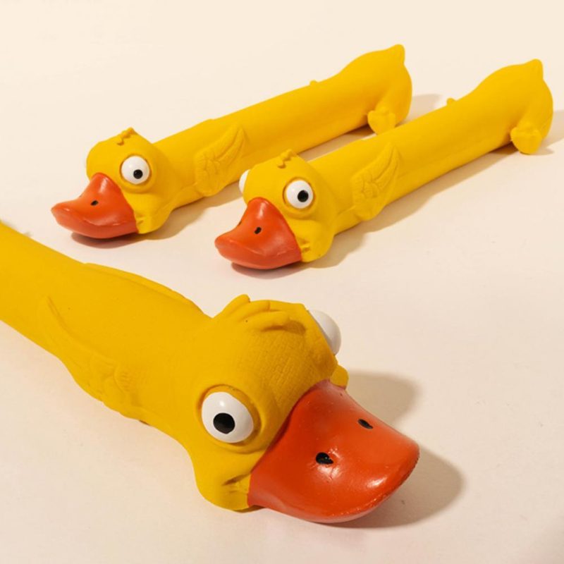 Teeth Grinding Latex Dog Toy - Image 5
