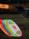 Dog Flying Discs Light Glowing LED - Image 5