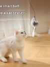 Cat Toys Mouse Teaser Ball Funny Moving Toy - Image 6