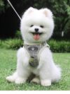 Breathable Mesh Small Dog Harness and Leash - Image 6