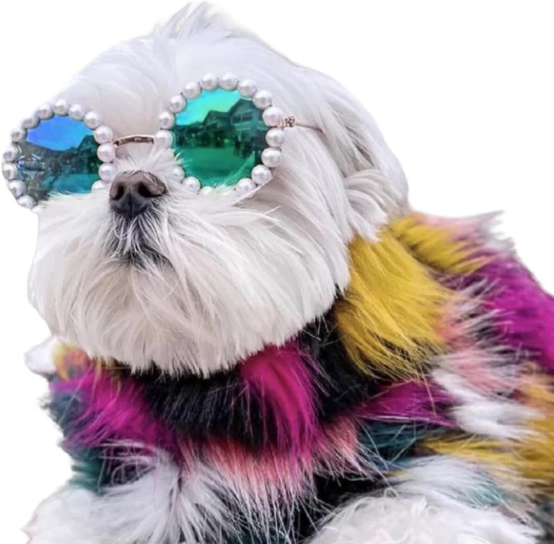 Cat And Dog Pearl Sunglasses - Pet Extravagant Funny Cute Dress Up Costume Accessories For Party - Image 6