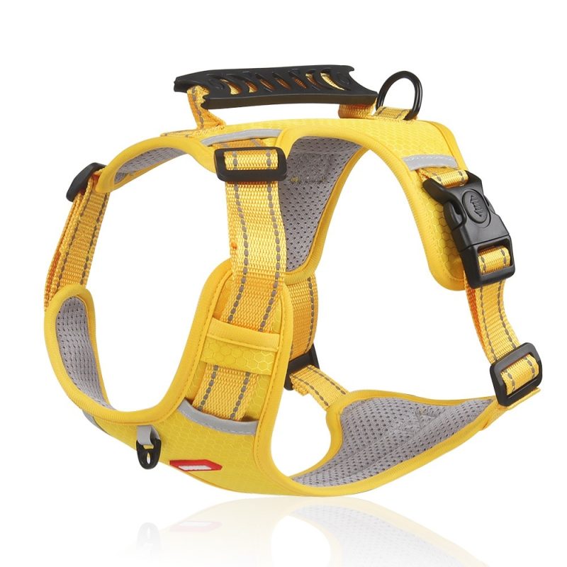 Pet Hand Holding Rope Vest-style Explosion-proof Reflective - Image 7