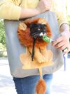 Soft Pet Carriers Lion Design - Image 8