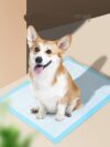 Pet Hygiene Absorbent Dog Pad - Image 4