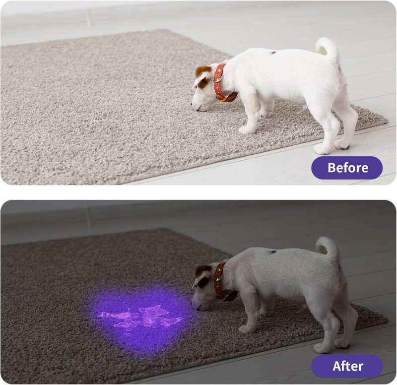 UV Flashlight LED Handheld Blacklight Flashlight - Image 9