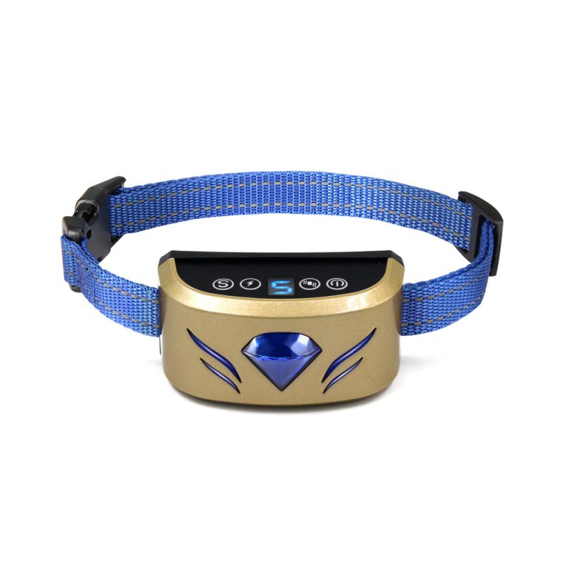 Gem Type Dog Training Device