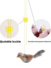 Pet Sound Bird Toy - Image 5