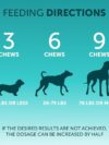 Pet Intestinal Probiotic Chewable Tablets - Image 5