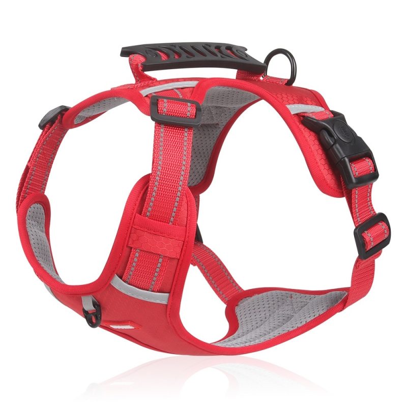 Pet Hand Holding Rope Vest-style Explosion-proof Reflective - Image 3