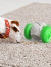Cat And Dog Toys Slow Food Interactive Balance Car - Image 8