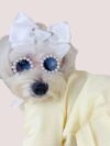 Cat And Dog Pearl Sunglasses - Pet Extravagant Funny Cute Dress Up Costume Accessories For Party - Image 7