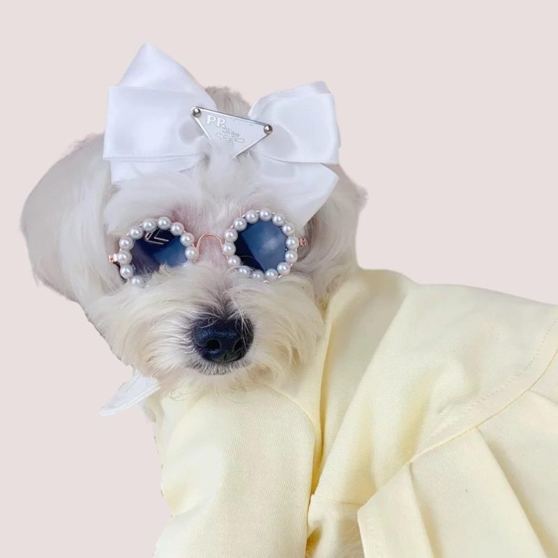Cat And Dog Pearl Sunglasses - Pet Extravagant Funny Cute Dress Up Costume Accessories For Party - Image 7